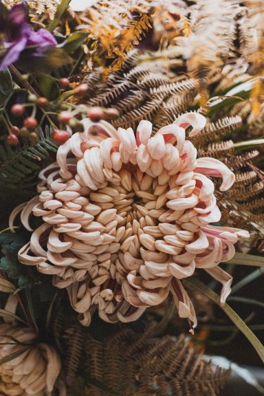 Chrysanthème rose aux pétales en spirale, entouré de fleurs séchées.